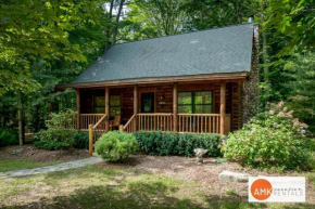 Wonderful Log Cabin near private beach and lake access